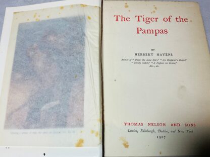 The Tiger of the Pampas - Image 2