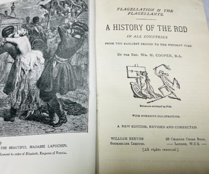 A History of the Rod in all Countries, From the Earliest Period to the Present Time - Image 2