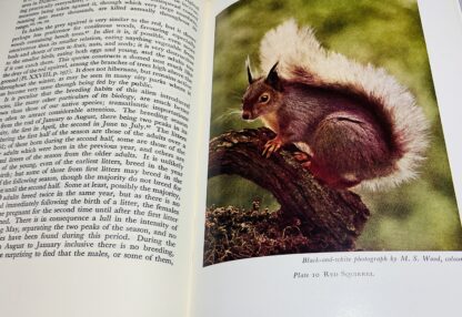 British Mammals [The New Naturalist Series, No. 21] - Image 3