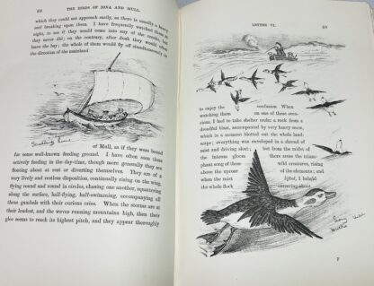 The Birds of Iona and Mull, 1852--70 - Image 4