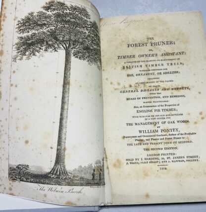 The Forest Pruner; Or, Timber Owner's Assistant: A Treatise on the Training or Management of British Timber Trees; Whether intended for Use, Ornament, or Shelter: including an Explanation of the Causes of their General Diseases and Defects, with the Means of Prevention and Remedies, where practicable: Also, an Examination of the Properties of English Fir Timber; With Remarks on the Old and Outlines of a New System for the Management of Oak Woods. - Image 2